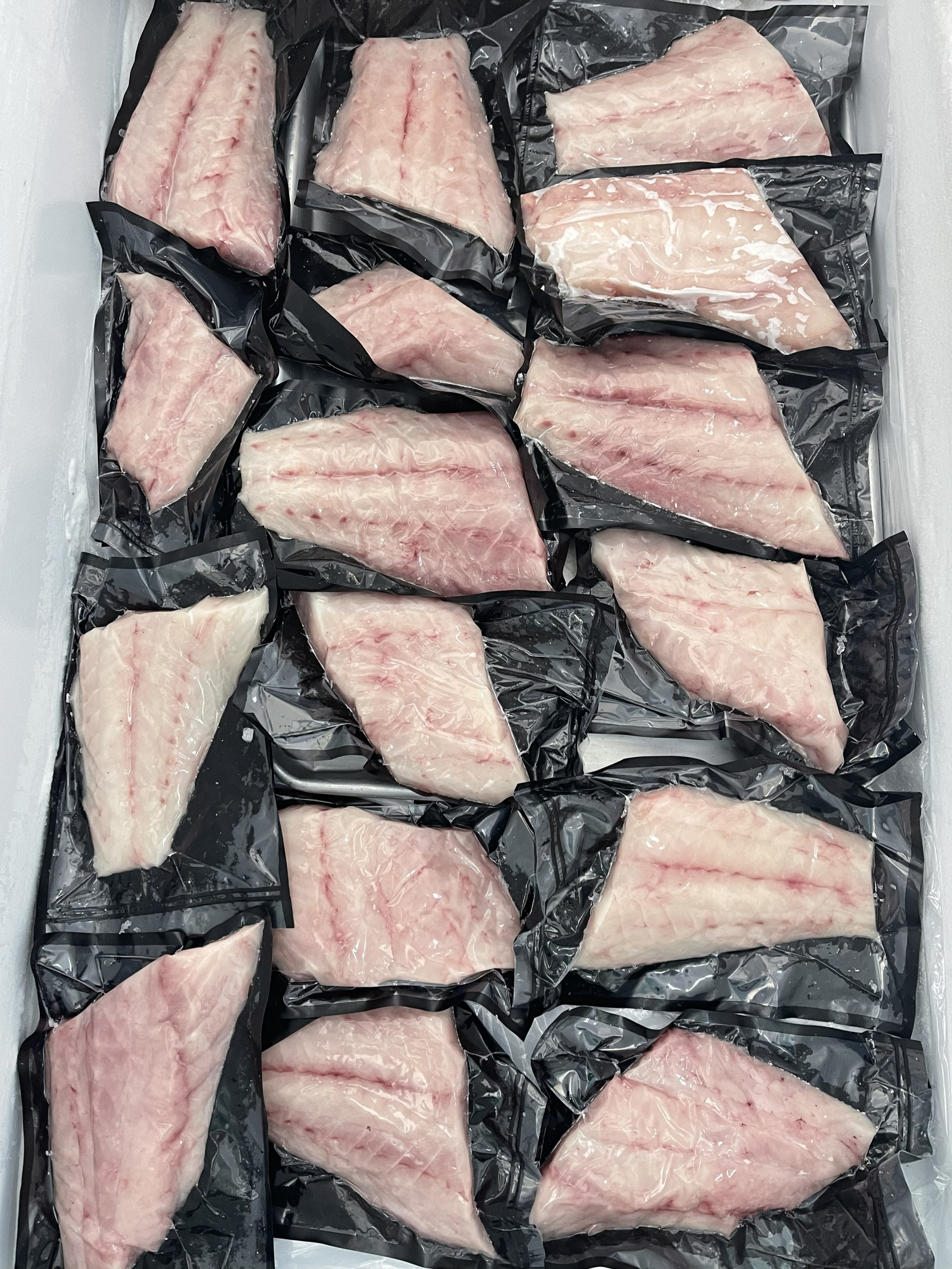 Filete de Cabrilla sardinera